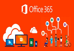 office 365